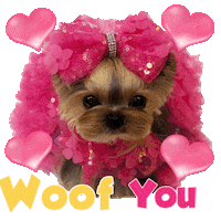 Fashion Model Kisses Sticker by Pimp Yo Pets