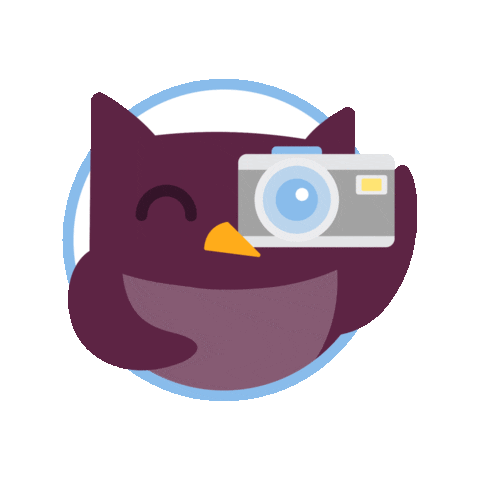 Scrolla giphyupload Sticker