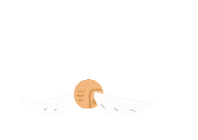 Harry Potter Magic Sticker