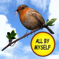 Lonely All By Myself GIF