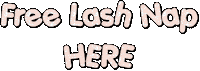 Book Lashes Sticker by Mega Lash Academy