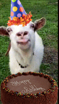 Cake Anybody GIF