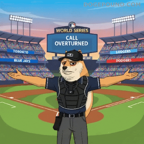 World Series Oops GIF by Doge Pound