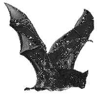 Glitter Dark Sticker