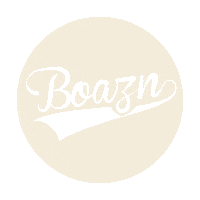 Logo Glitch Sticker by Boazn