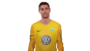World Cup Football Sticker by VfL Wolfsburg