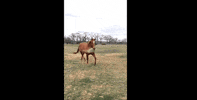 GIF by Mashable