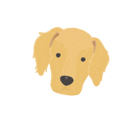 maisvivapharma cat dog amor pet Sticker