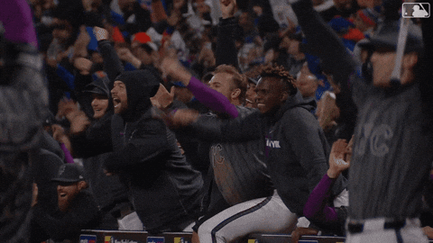 Fired Up Celebration GIF by New York Mets
