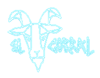 Mdf Monegros Sticker by elrow