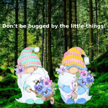 Flowers Spring GIF