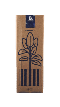 Surprise Delivery Sticker by Bonito