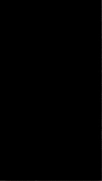 Harbour Seal GIF by Valley Zoo Development Society