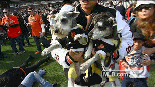 pet sf GIF by MLB