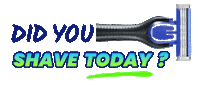 Gillettesingapore vibe shave shaving razor Sticker