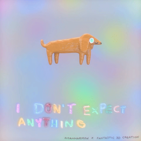 I don't expect anything