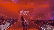 Wrestlemania 35 Sport GIF by WWE