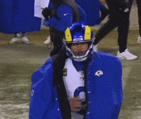 Los Angeles Rams Football GIF