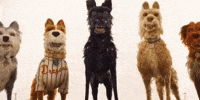Awkward Mood GIF