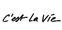 Hh Vie Sticker by HYPHEN HYPHEN