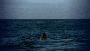 hungry discovery channel GIF by Discovery Europe