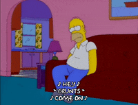 homer simpson GIF