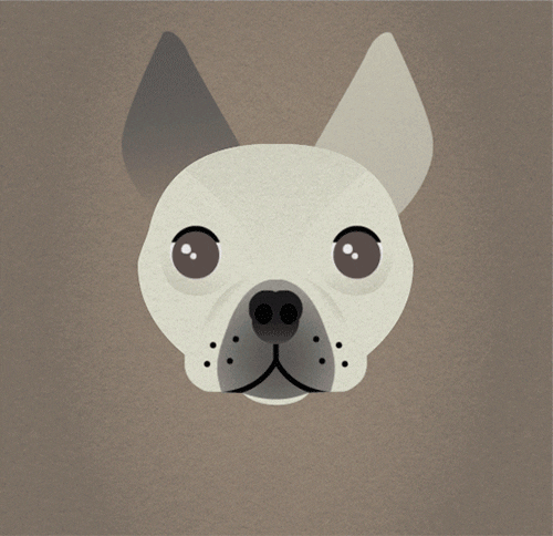 boston terrier dog GIF by will herring