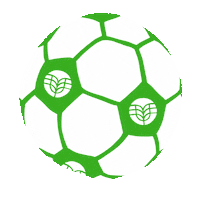 Football Donation Sticker by Deutsche Welthungerhilfe e.V.