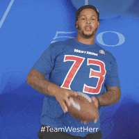 Buffalo Bills GIF by West Herr
