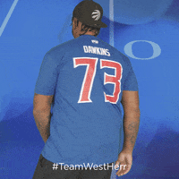 Buffalo Bills GIF by West Herr