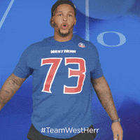 Buffalo Bills GIF by West Herr