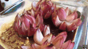 flower satisfying GIF