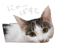 ねこ 猫 Sticker by ojiya_oyaji