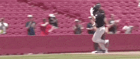World Series Baseball GIF by NCAA Championships