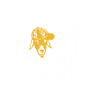 Produtos Automotivos Sticker by Goatcar