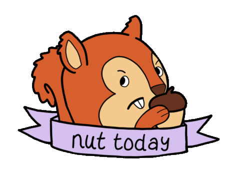 Squirrel Not Today Sticker by Lily in Space Designs