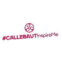 Chocolate Choco Sticker by Barry Callebaut Nordic