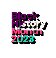 Black History Month Sticker by Ally