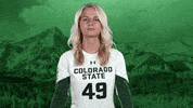 Volleyball GIF by Colorado State Rams