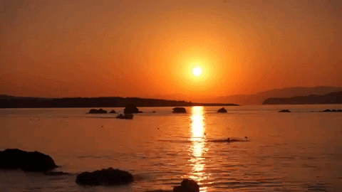 sunset strand GIF by For 91 Days
