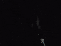 Beach Running GIF by gracieabrams