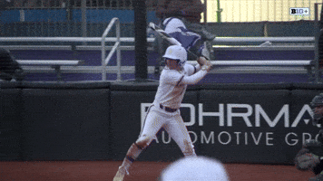 Softball Wildcats GIF by Northwestern Athletics