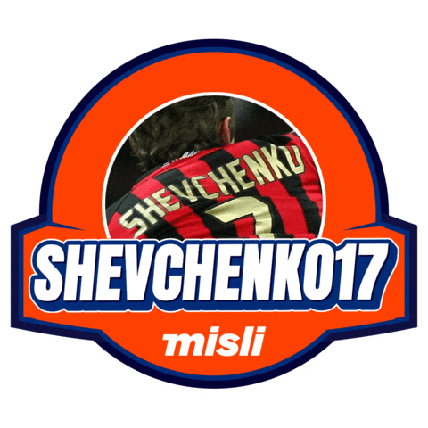 Shevchenko Sticker by Misli
