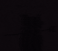 W Sigma GIF by STRAPPED!