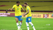 Selecao Paqueta GIF by Confederação Brasileira de Futebol