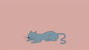 Loop Cats GIF by Rullampo