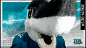 Get Loud GIF by sjsharkie.com