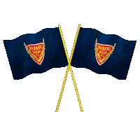 pro kabaddi the eagles Sticker by Dabang Delhi KC