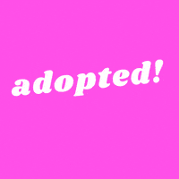 Rmatl GIF by RescueMeATL
