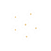 carleeecarroll flower flowers floral daisy Sticker